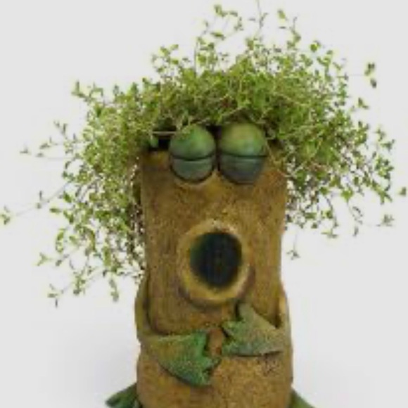 Other - Blobhouse Luciano Singing Frog Planter Whimsical Resin Succulent Pot